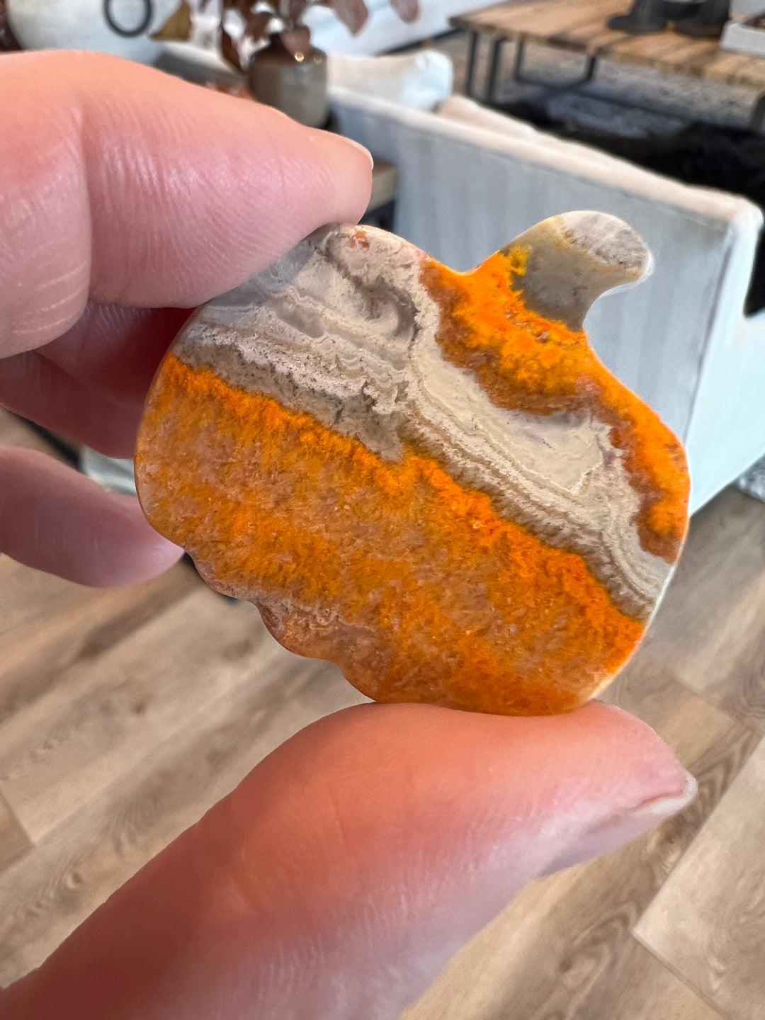 Bumblebee Jasper Pumpkin (28)
