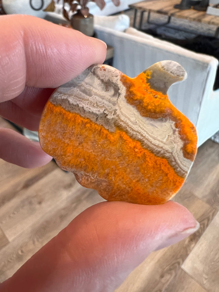 Bumblebee Jasper Pumpkin (28)