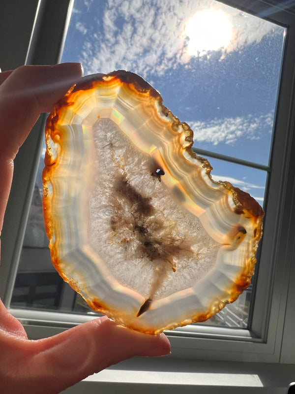 Iris Agate Slice (9) | 66.2g