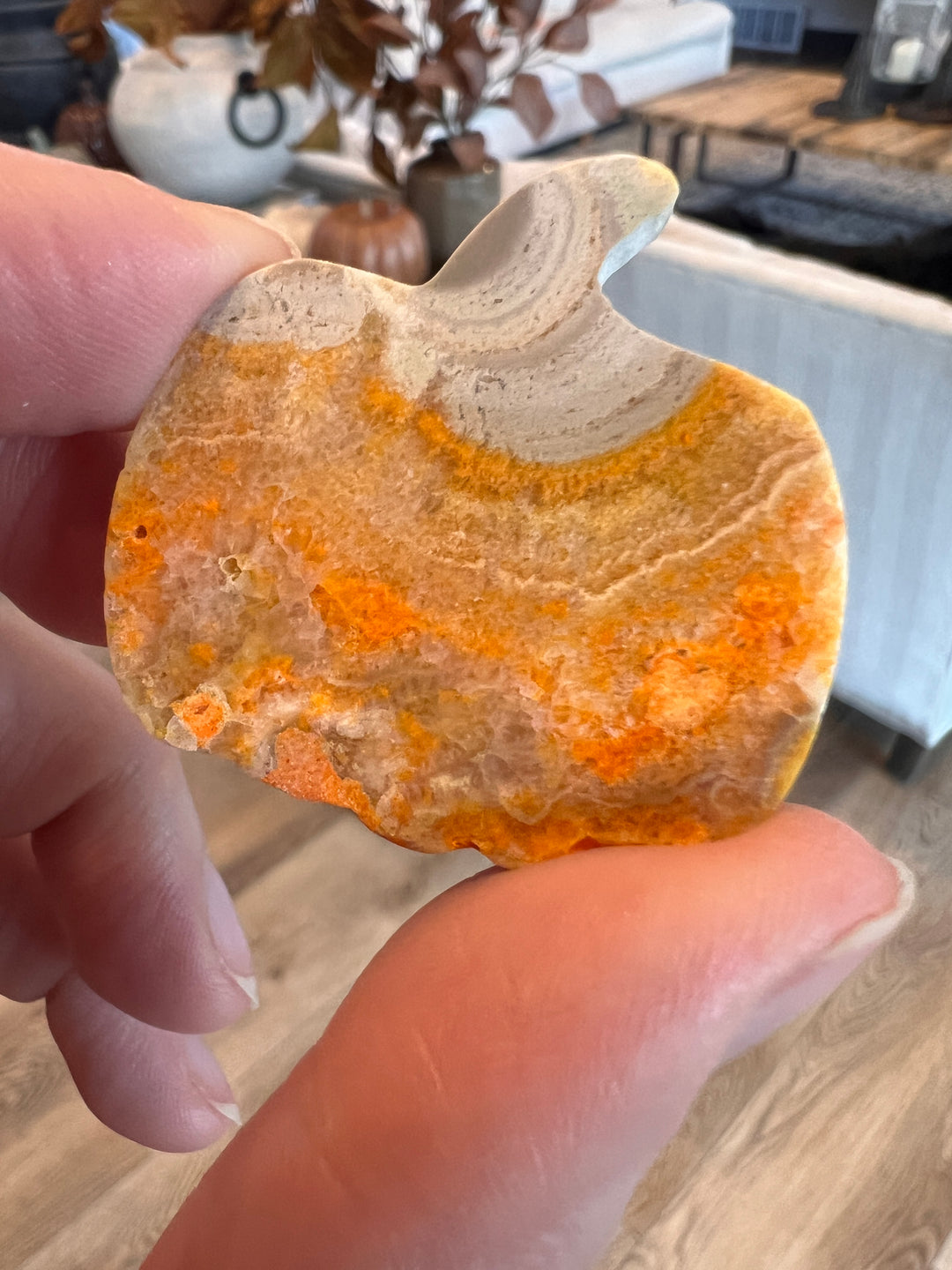 Bumblebee Jasper Pumpkin (14)