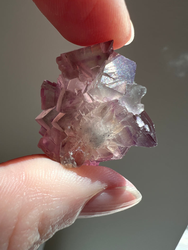 Fluorite (7) | 13.5g