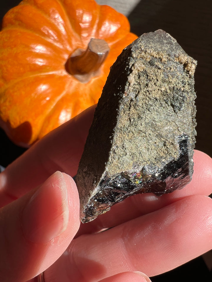 Lustrous Druzy coated Smoky Quartz (4) | 29g