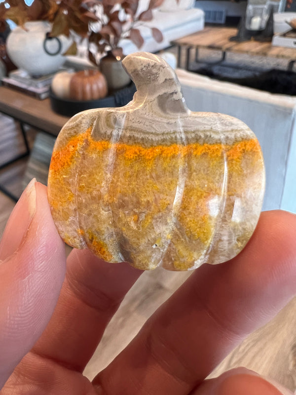 Bumblebee Jasper Pumpkin (15)