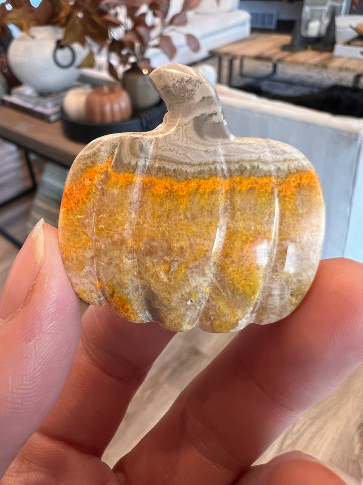 Bumblebee Jasper Pumpkin (15)