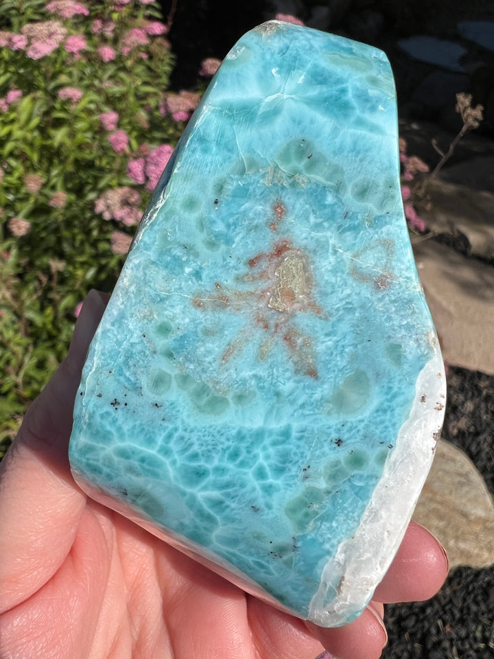 Larimar Freeform 25 | 457.6g