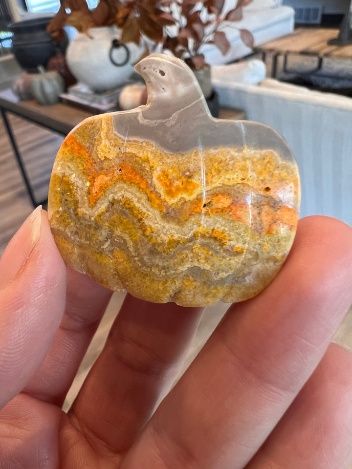 Bumblebee Jasper Pumpkin (4)