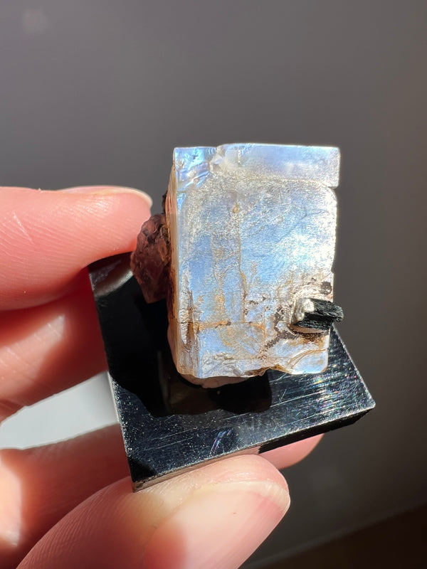 Mexican Moonstone (6) | 6.8g