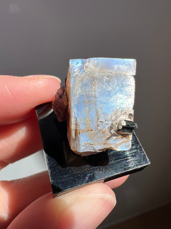 Mexican Moonstone (6) | 6.8g