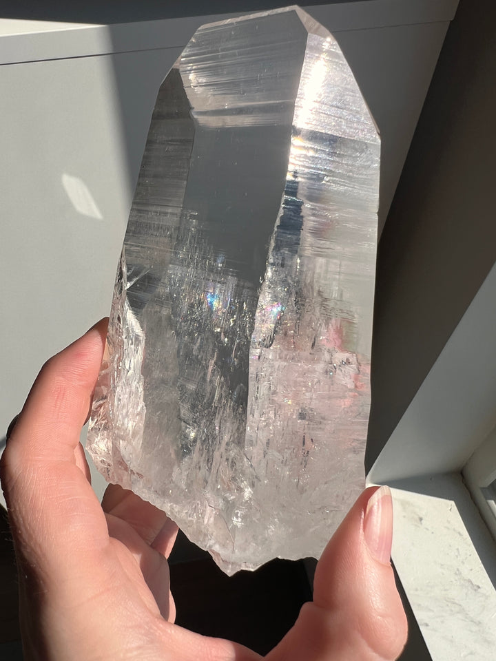 Colombian Lemurian (12) | 522g
