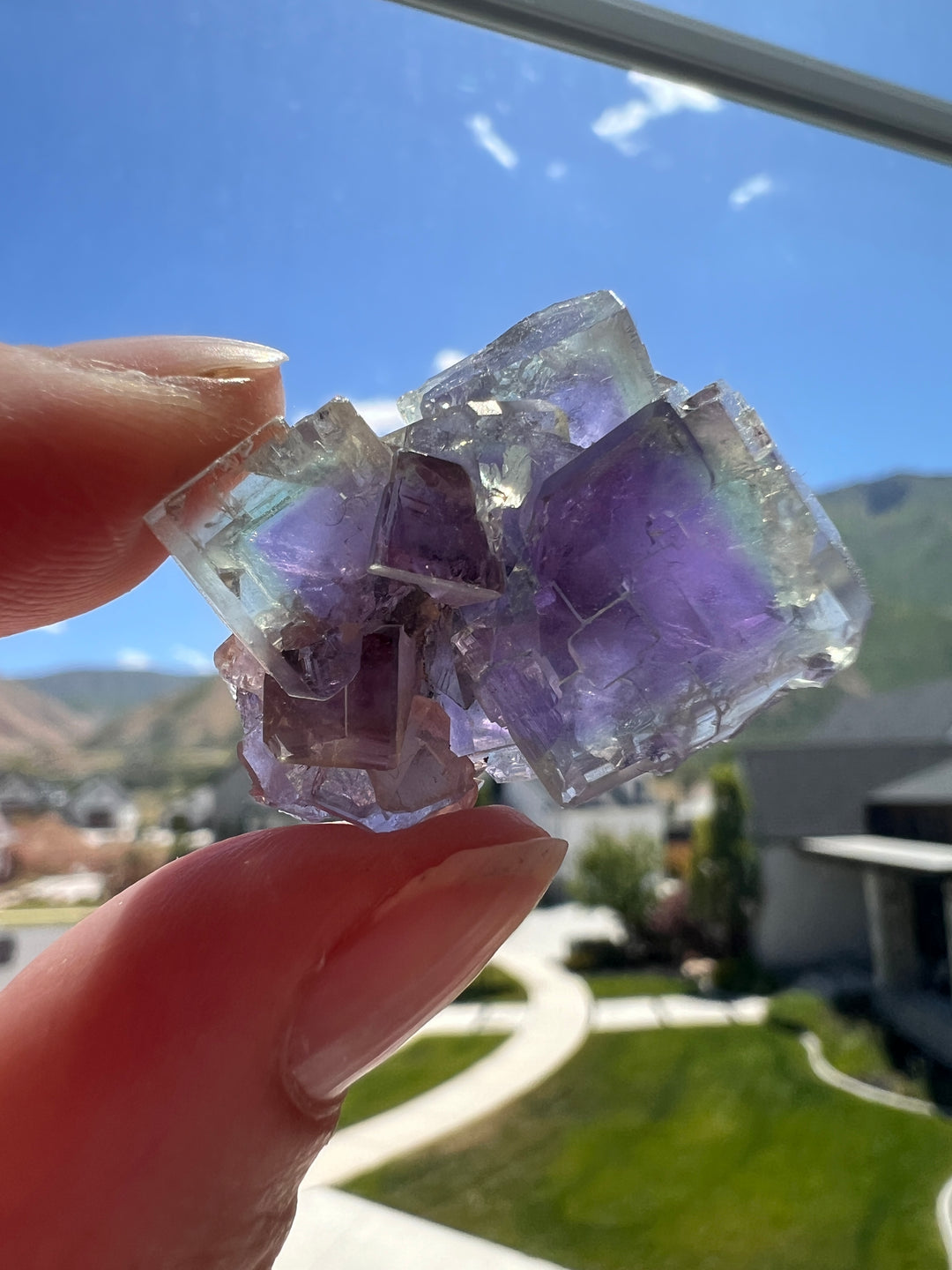 Fluorite (2) | 16.9g