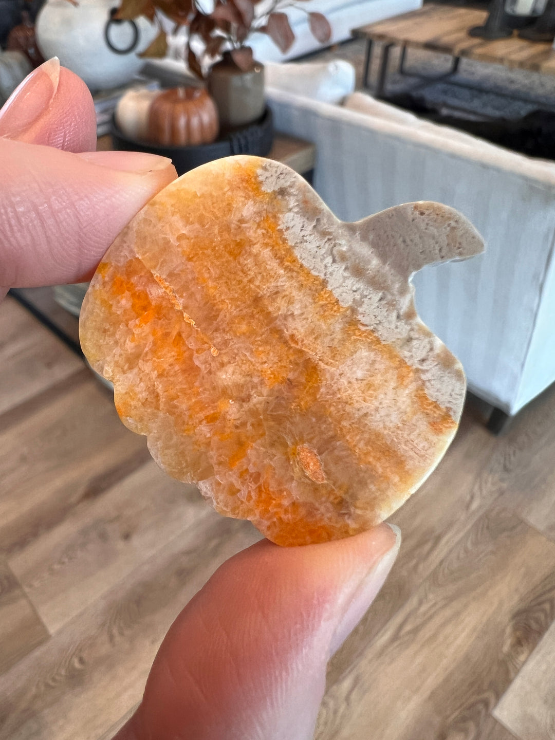 Bumblebee Jasper Pumpkin (26)