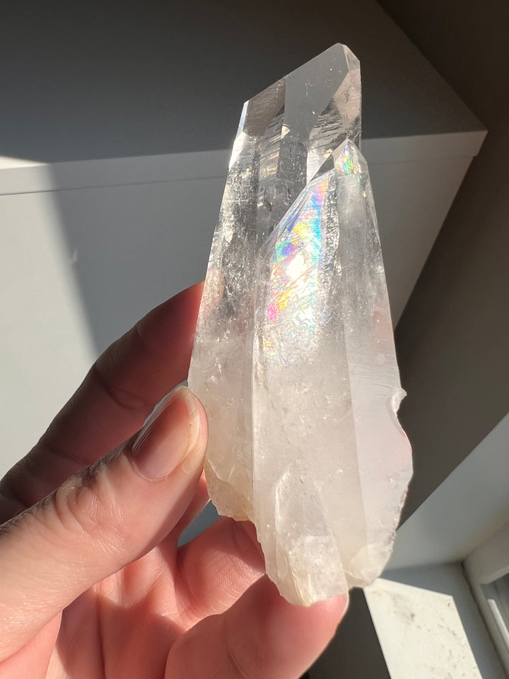 Colombian Lemurian (8) | 116.6g