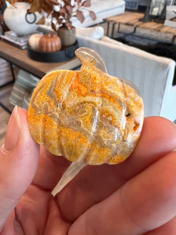 Bumblebee Jasper Pumpkin (27)