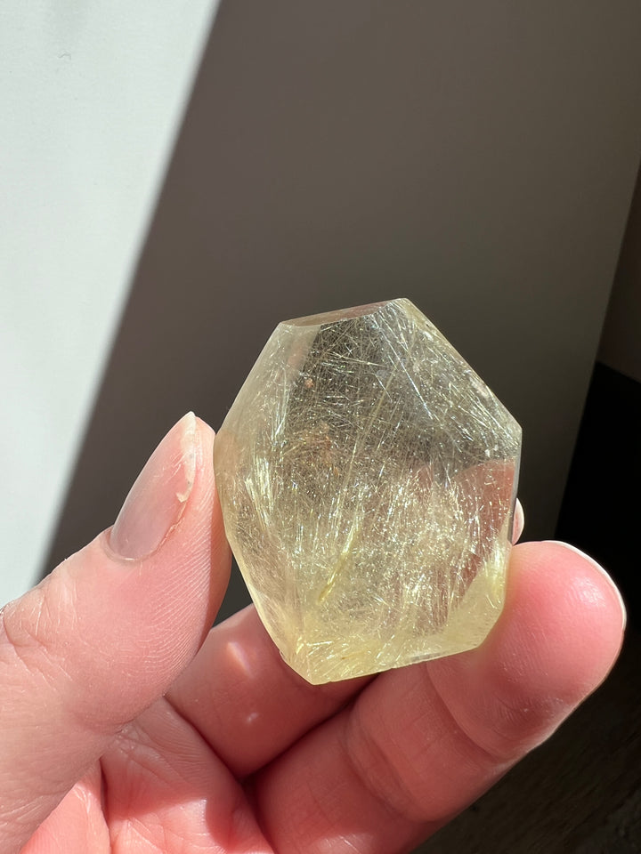 Rutilated Quartz (8)