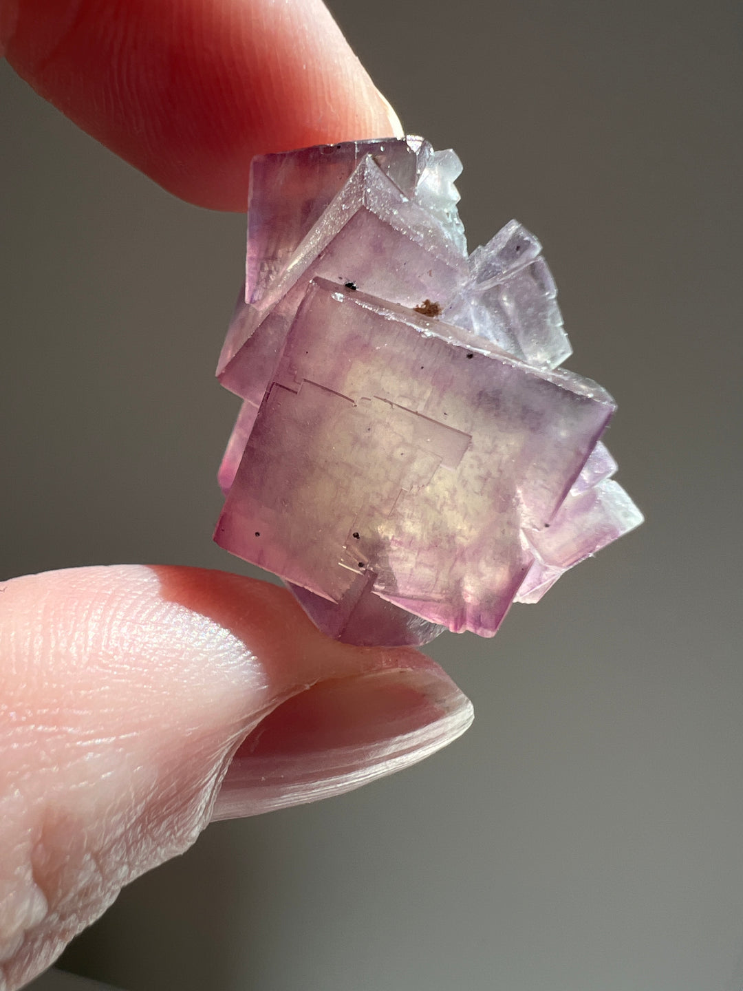 Fluorite (7) | 13.5g