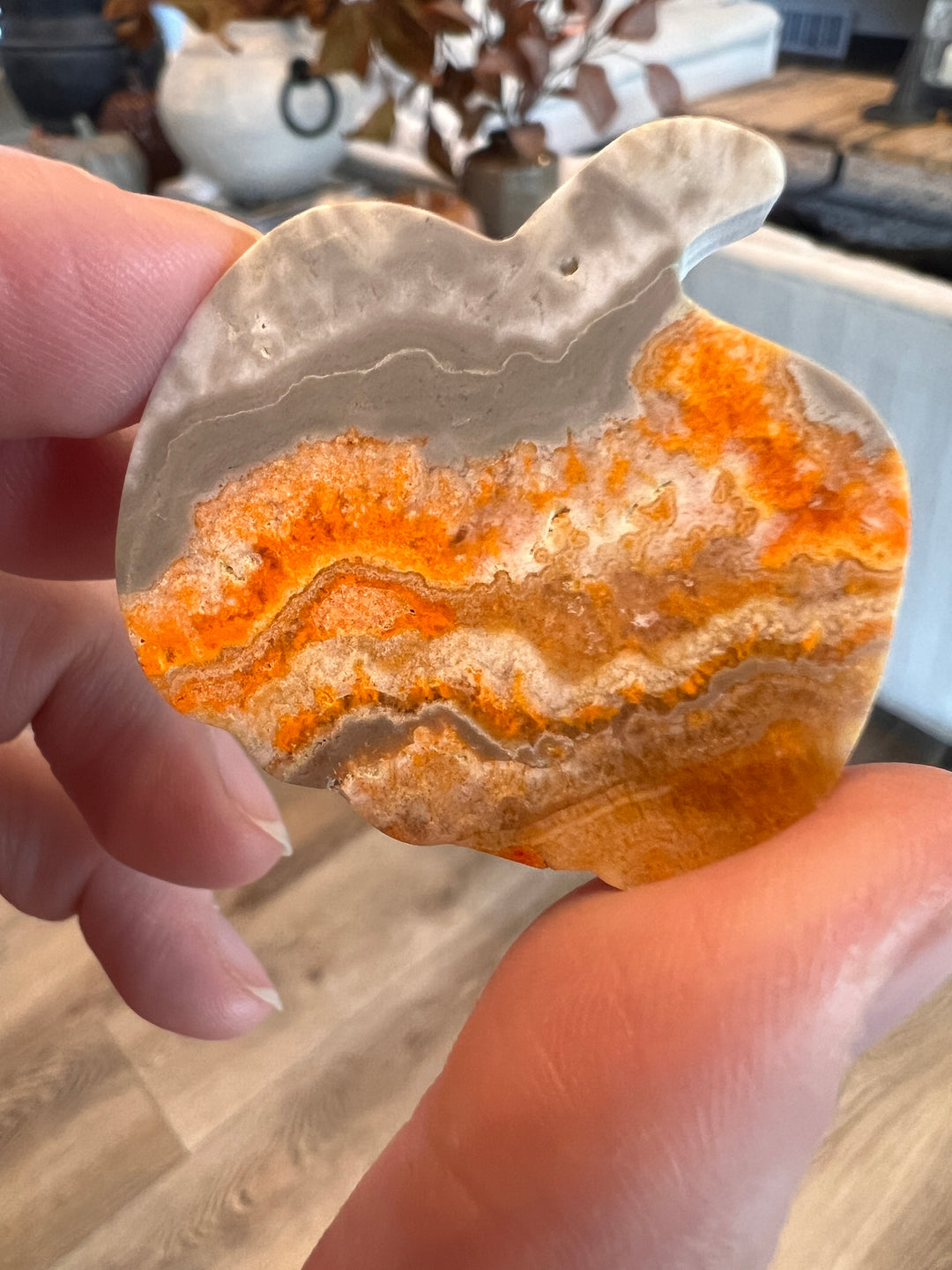 Bumblebee Jasper Pumpkin (11)