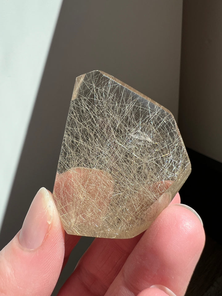 Rutilated Quartz (7)