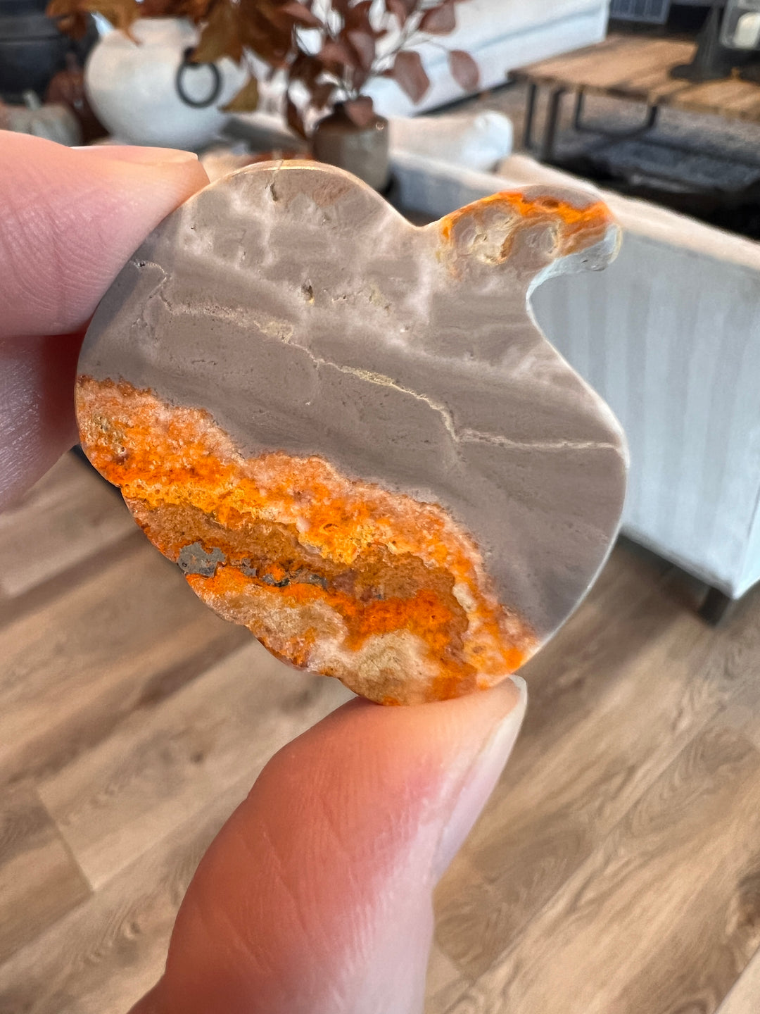 Bumblebee Jasper Pumpkin (24)