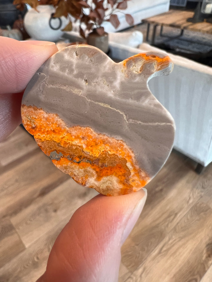 Bumblebee Jasper Pumpkin (24)