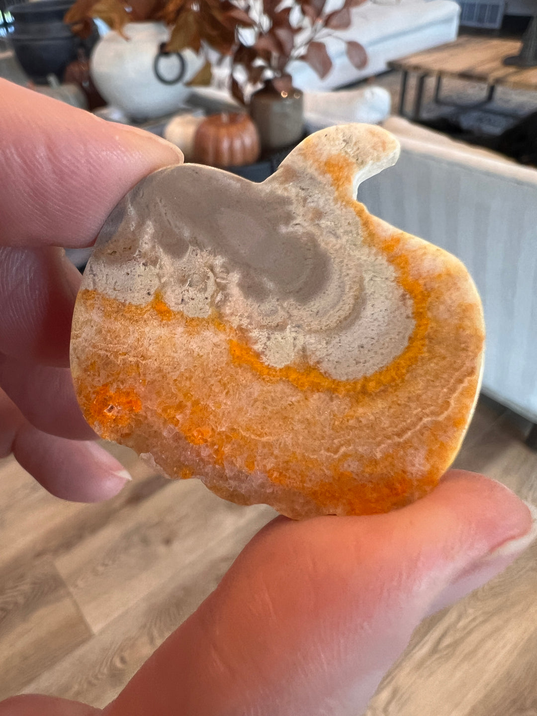 Bumblebee Jasper Pumpkin (19)