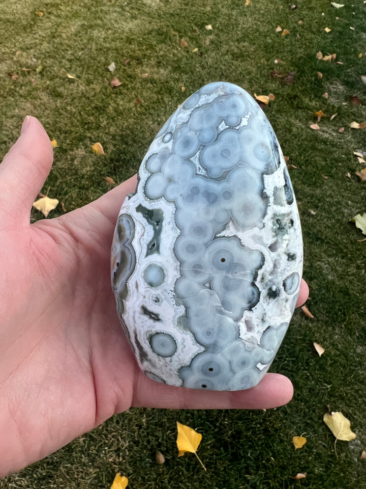 8th Vein Ocean Jasper Freeform