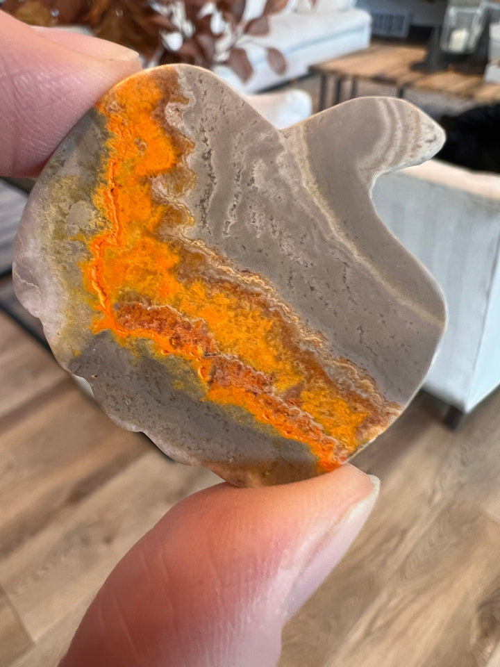 Bumblebee Jasper Pumpkin (31)