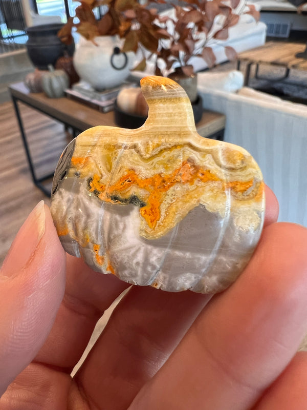Bumblebee Jasper Pumpkin (3)