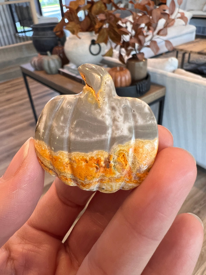 Bumblebee Jasper Pumpkin (6)