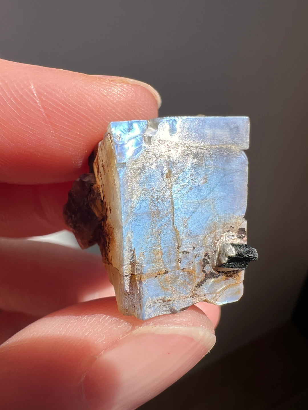 Mexican Moonstone (6) | 6.8g