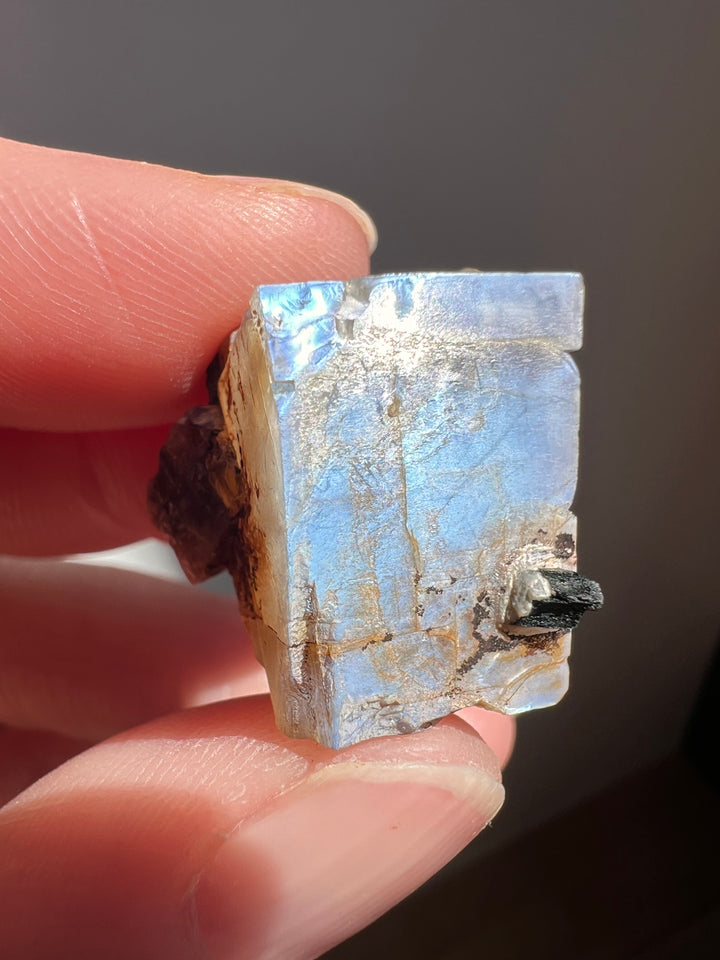 Mexican Moonstone (6) | 6.8g