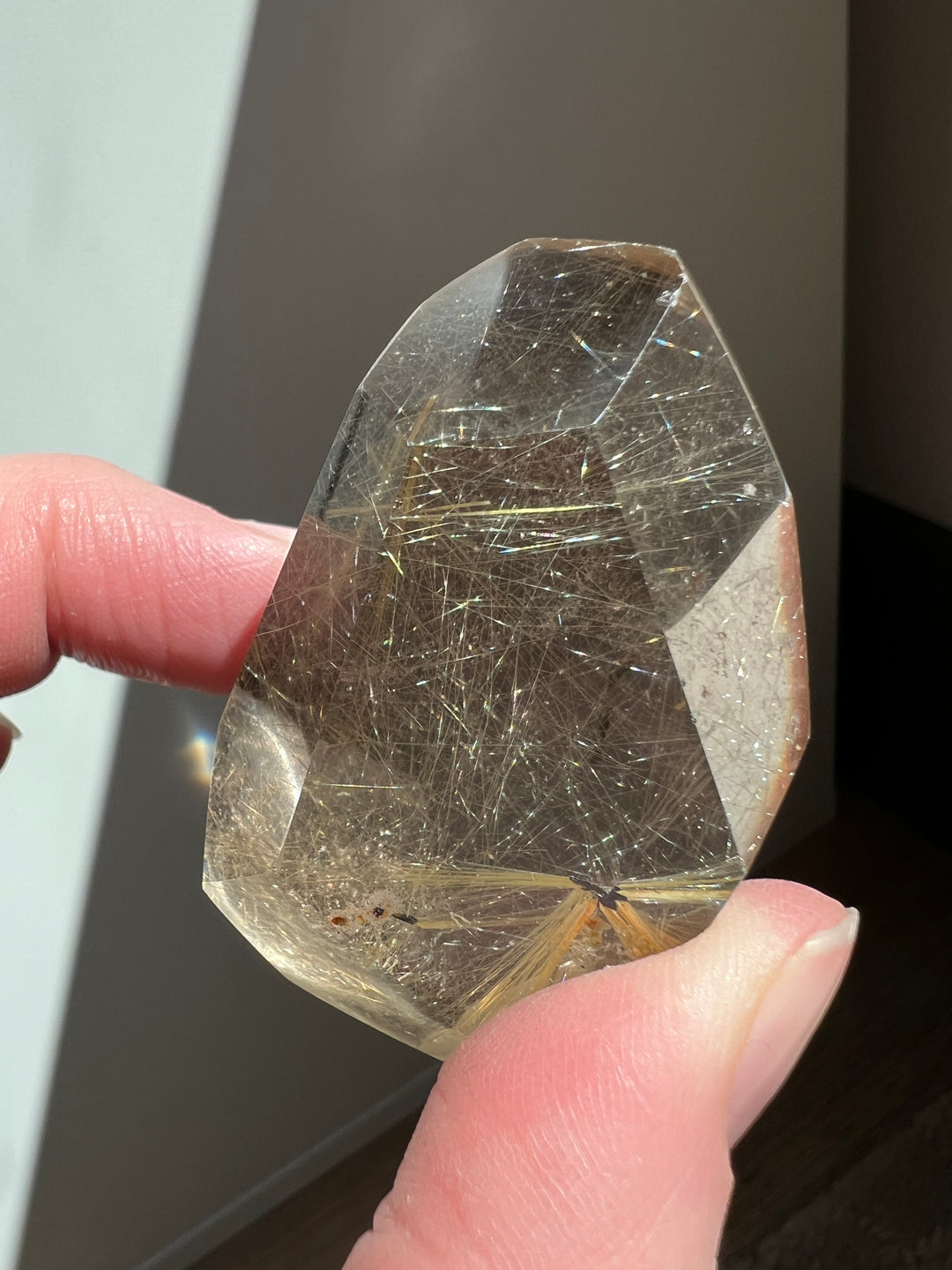 Rutilated Quartz (5)