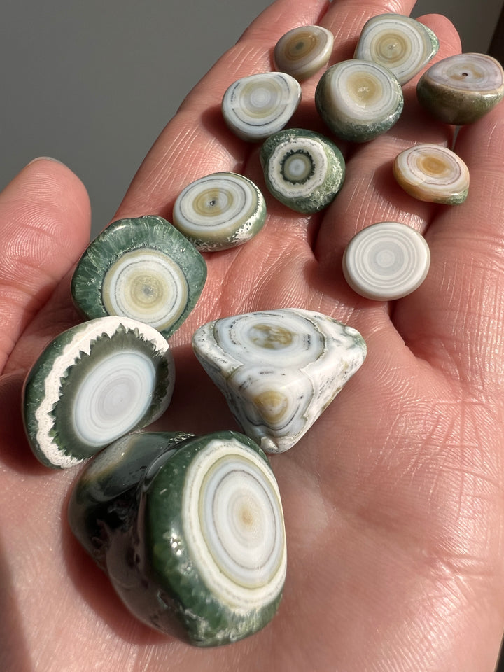8th Vein Ocean Jasper Just The Orbs Lot