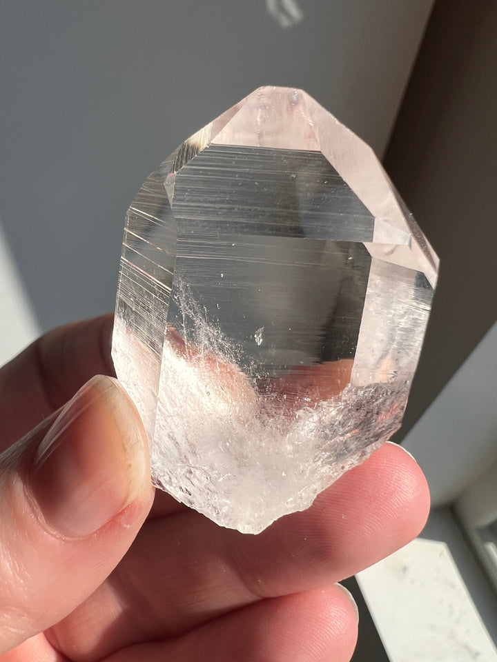 Colombian Lemurian (11) | 33.8g