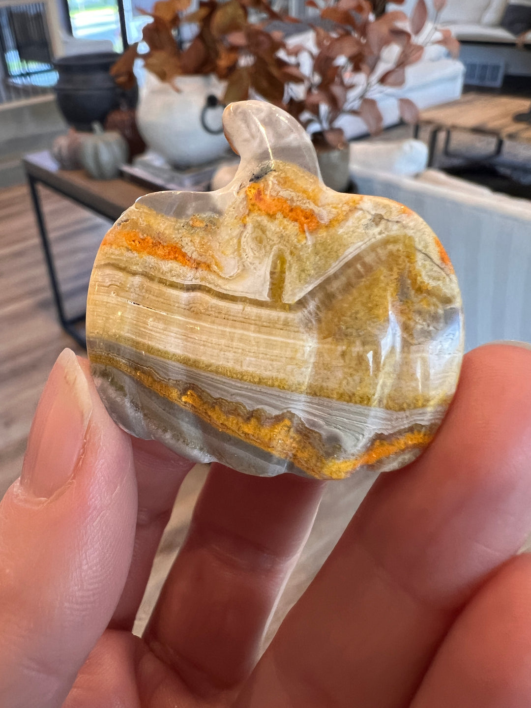 Bumblebee Jasper Pumpkin (2)