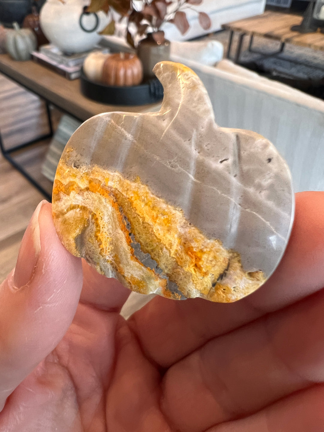 Bumblebee Jasper Pumpkin (24)