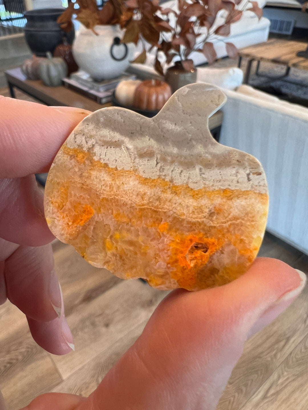 Bumblebee Jasper Pumpkin (12)