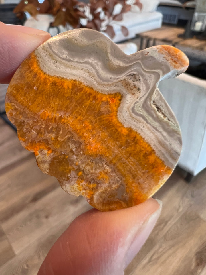 Bumblebee Jasper Pumpkin (25)