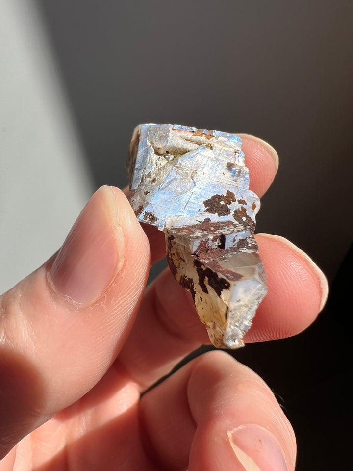 Mexican Moonstone (5) | 7.8g