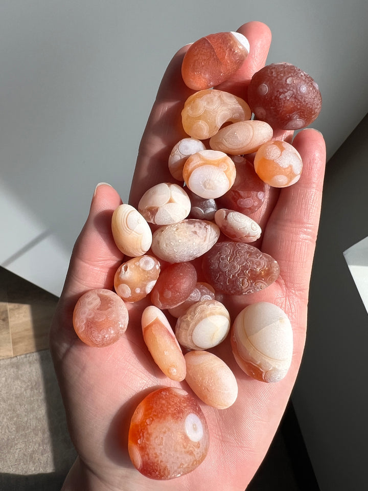 Wholesale Gobi Desert Agate Lot (2)