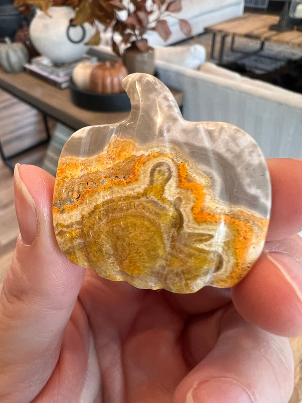 Bumblebee Jasper Pumpkin (32)