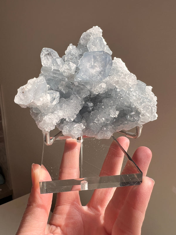 High Grade Celestite Cluster | 435.3g