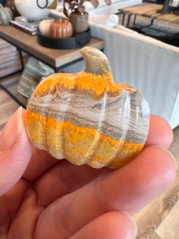 Bumblebee Jasper Pumpkin (28)