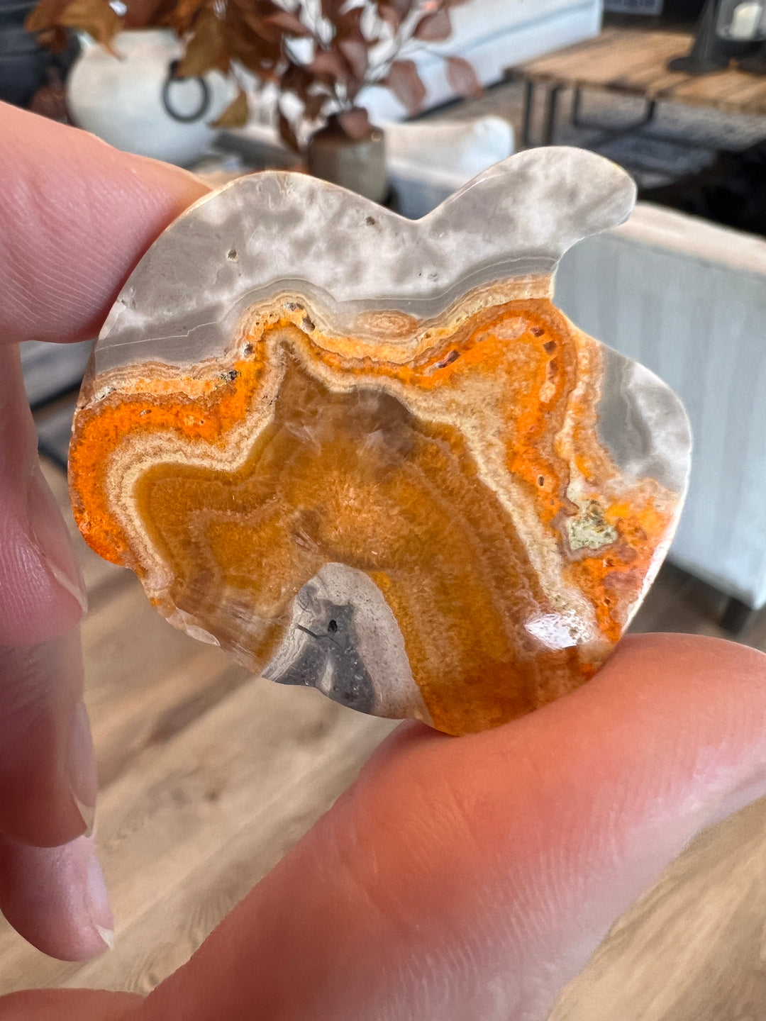 Bumblebee Jasper Pumpkin (32)