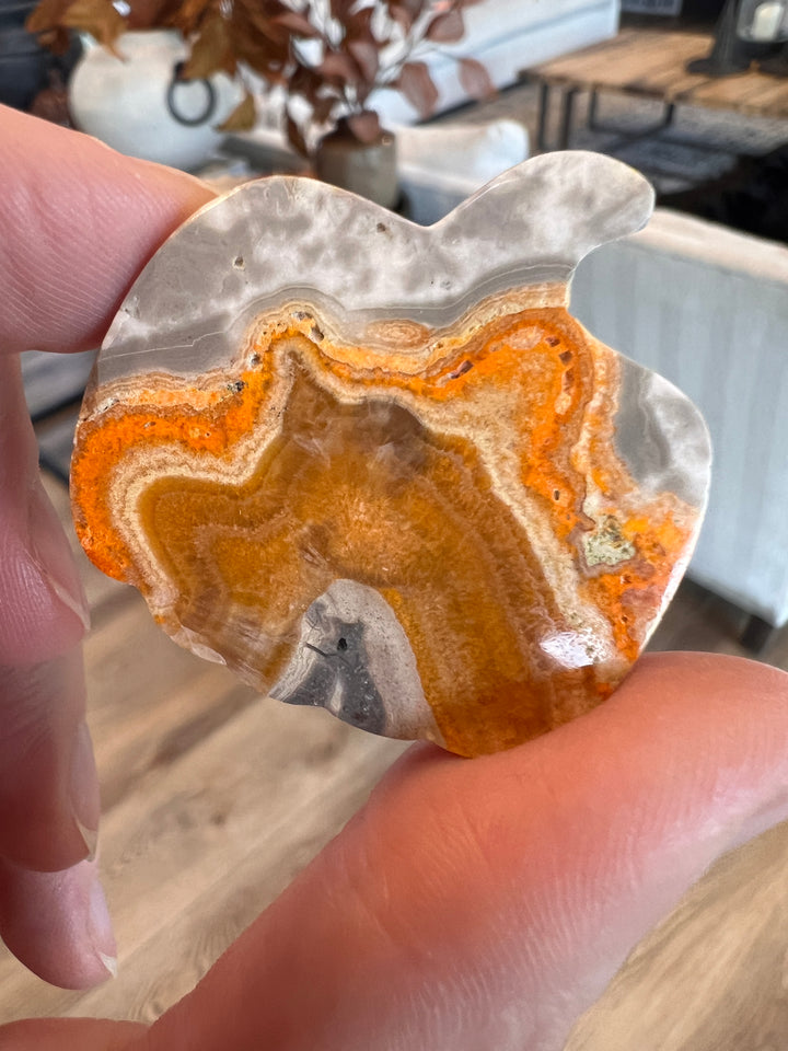Bumblebee Jasper Pumpkin (32)