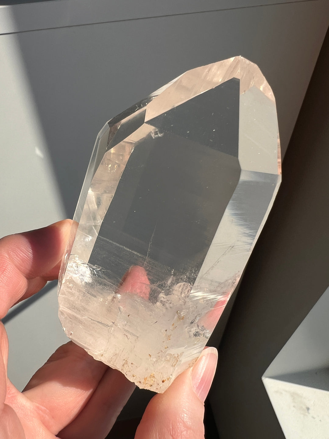 Colombian Lemurian (10) | 264.8g