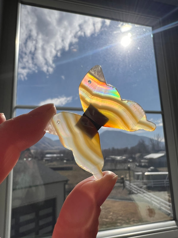 Iris Agate Drilled Butteryfly Wings (26)