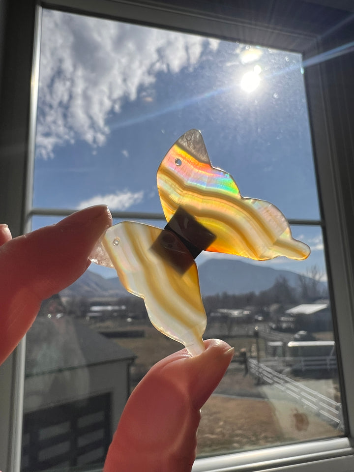 Iris Agate Drilled Butteryfly Wings (26)