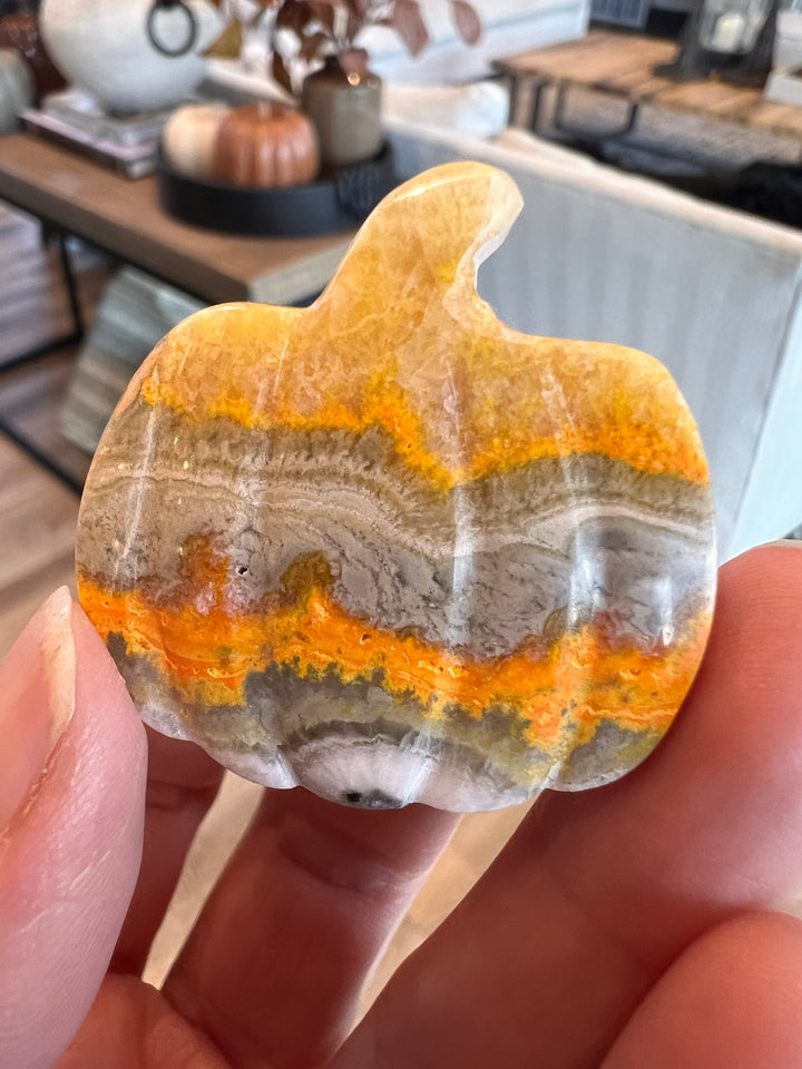 Bumblebee Jasper Pumpkin (21)
