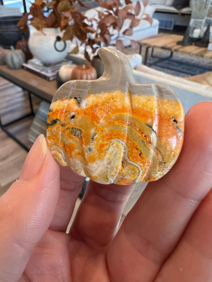 Bumblebee Jasper Pumpkin (1)