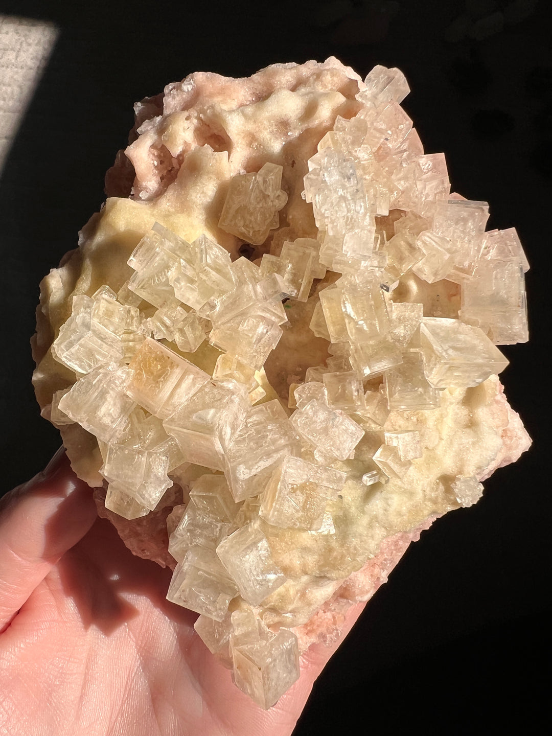 Pink Halite Double Bubble Enhydro (4) | 264.3g